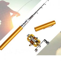 Складная мини удочка 97 см Fishing Rod In Pen Case золотая