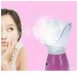 Сауна для обличчя Professional Facial Steamer BY тисяча сімдесят вісім Osenjie