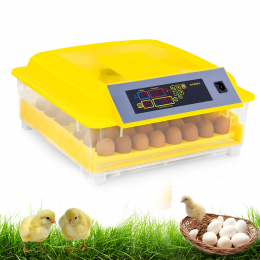 Інкубатор автоматичний на 48 яєць HHD для домашньої інкубації, Жовтий