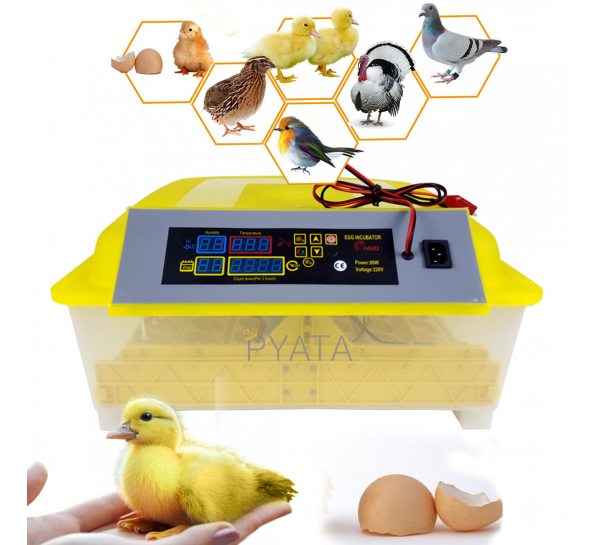 Інкубатор автоматичний на 56 яєць HHD для домашньої інкубації, Жовтий