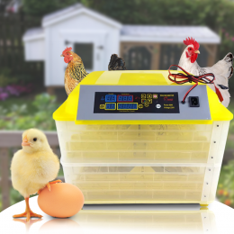 Інкубатор автоматичний на 112 яєць HHD для домашньої інкубації, Жовтий