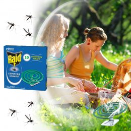 Засіб захисту проти комарів Raid спіралі 10 шт (2020)