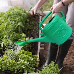 Лійка садово-городня Europlast пластикова 10 л (2020)