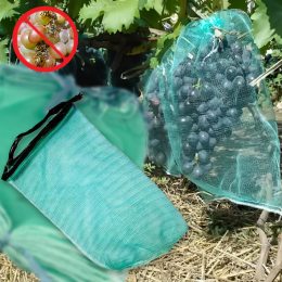Захисна сітка-мішок для грон винограду від ос, Бірюзовий (2020)