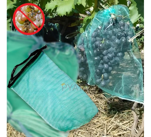 Захисна сітка-мішок для грон винограду від ос, Бірюзовий (2020)