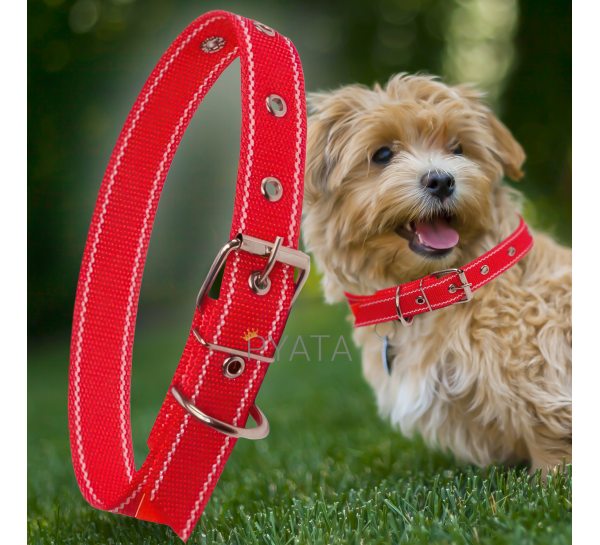 Капроновий одинарний нашийник для собак №127 25мм довжина-44 см Червоний (2021)