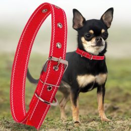 Капроновий нашийник для собак №126 одинарний, кольоровий (20 мм - довжина 36 см) Червоний (2021)