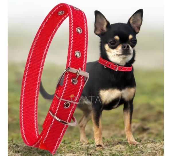 Капроновий нашийник для собак №26 одинарний, кольоровий (20 мм - довжина 36 см) (2021)