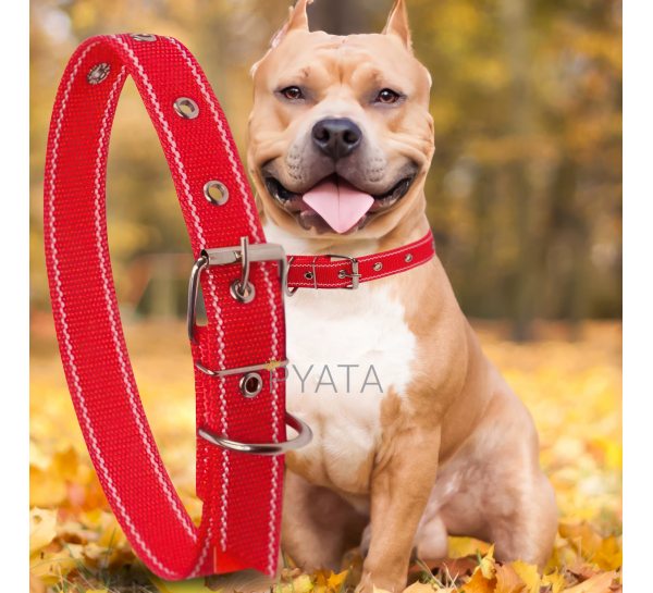 Капроновый одинарный ошейник для собак №128 30мм длина-52 см Красный (2021)