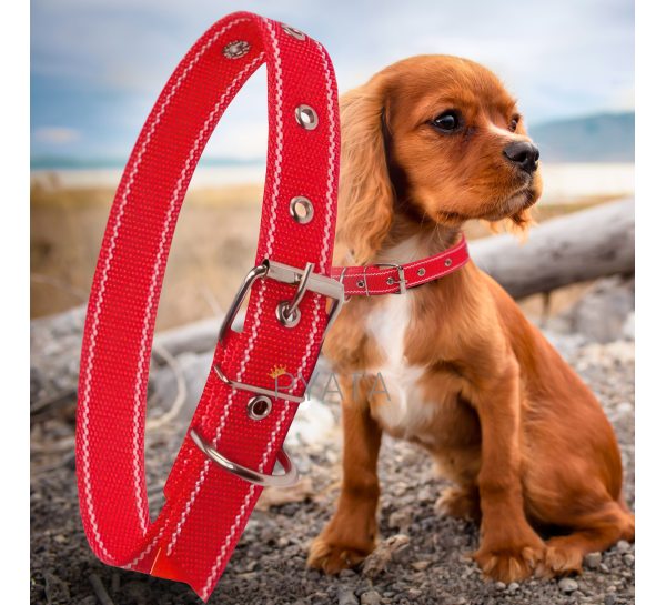 Капроновий одинарний нашийник для собак №129 35мм довжина-58 см Червоний (2021)