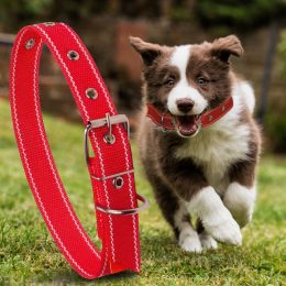 Капроновий одинарний нашийник для собак №131 45мм довжина-66 см Червоний (2021)