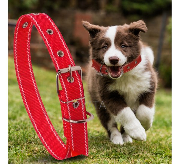 Капроновый одинарный ошейник для собак №131 45мм длина-66 см Красный (2021)