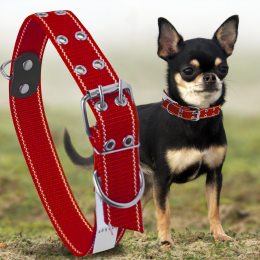 Капроновый двойной ошейник для собак №132 20 мм длина-46 см Красный (2021)
