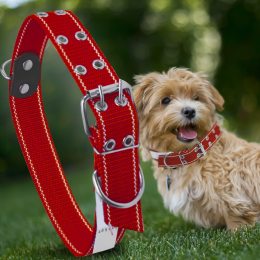 Капроновый двойной ошейник для собак №134 30 мм длина-57 см Красный (2021)