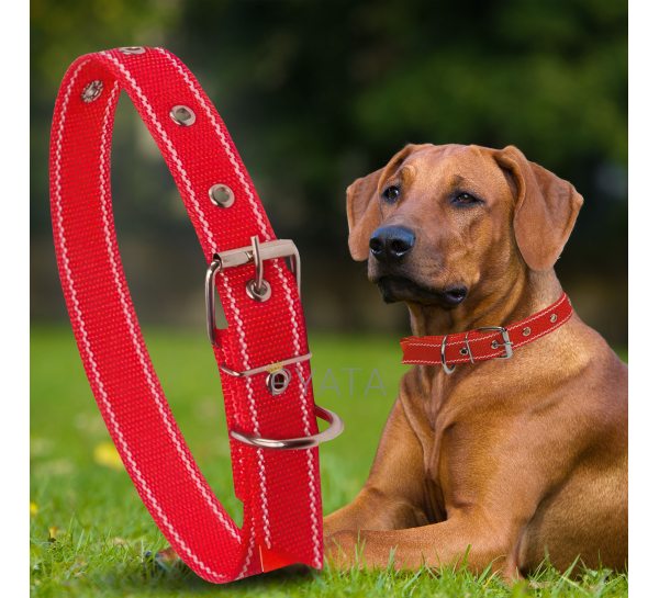 Капроновий одинарний нашийник для собак №130 40мм довжина-64 см Червоний (2021)