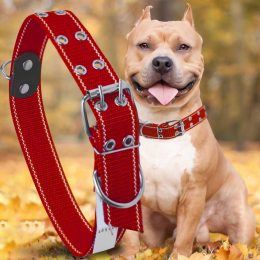 Капроновый двойной ошейник для собак №135 35 мм длина-64 см Красный (2021)