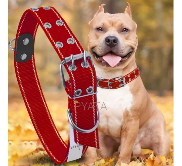 Капроновый двойной ошейник для собак №135 35 мм длина-64 см Красный (2021)