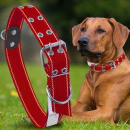 Капроновий подвійний нашийник для собак №136 40 мм довжина-76 см Червоний (2021)