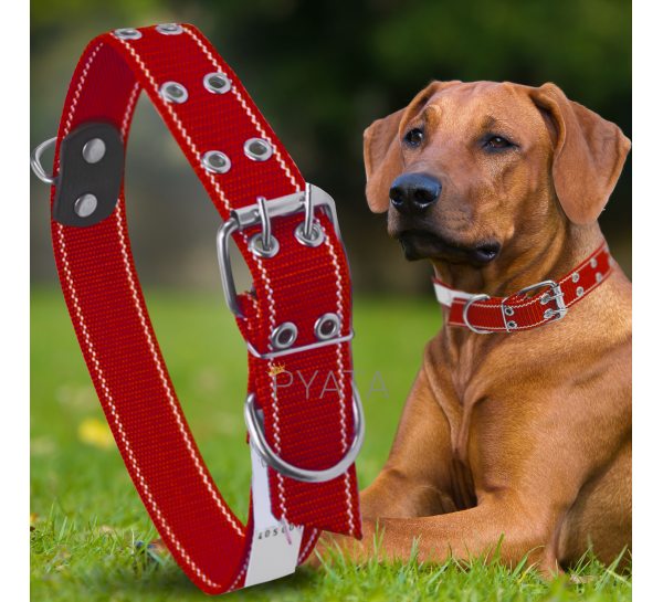 Капроновый двойной ошейник для собак №136 40 мм длина-76 см Красный (2021)