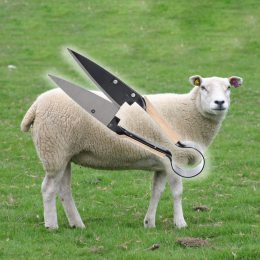 Металеві ножиці для стрижки овець, дерев'яні накладки (33см) (JanS)