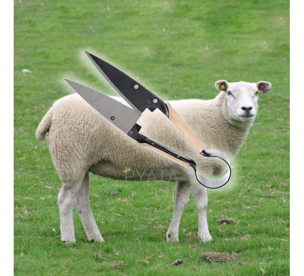 Металеві ножиці для стрижки овець, дерев'яні накладки (33см) (JanS)