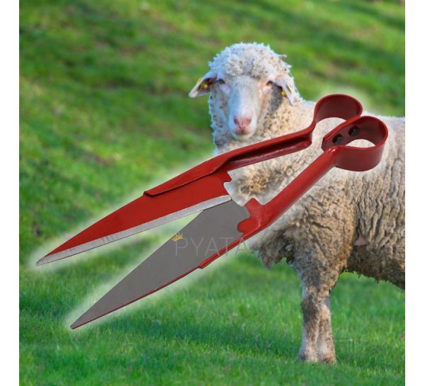 Металеві ножиці для стрижки овець, дерев'яні накладки (31см) (JanS)