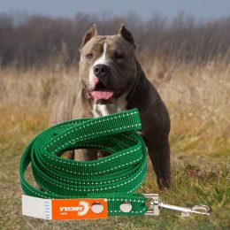 Капроновий повідок №157 для собак (довжина 1,5 м, ширина 20 мм) (2021)