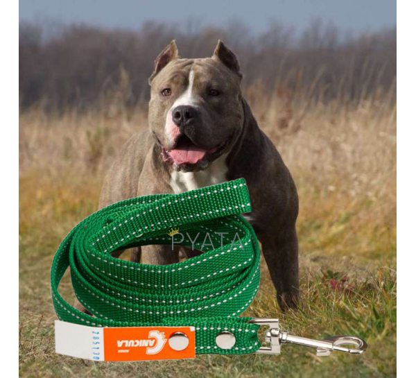 Капроновый поводок №157 для собак (длина 1,5 м, ширина 20 мм) (2021)