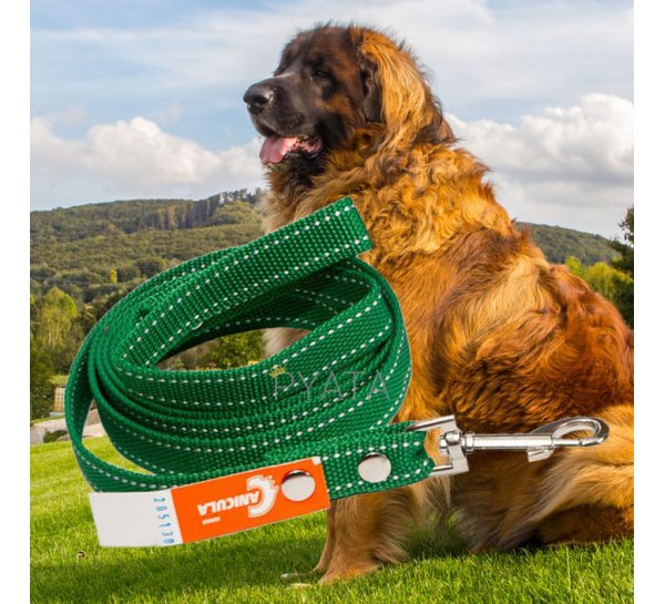 Капроновый поводок №159 для собак (длина 3 м, ширина 20 мм) (2021)