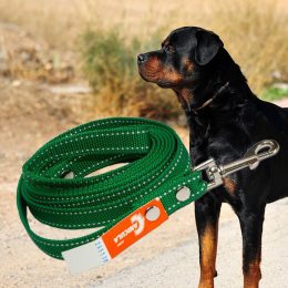 Капроновий повідок №160 для собак (довжина 1,5 м, ширина 25 мм) (2021)
