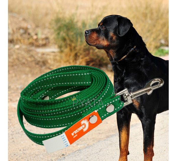 Капроновый поводок №160 для собак (длина 1,5 м, ширина 25 мм) (2021)