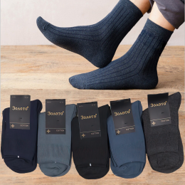 Чоловічі довгі шкарпетки Золото N101, демісезонні (упаковка 10 шт; розмір 41-47)
