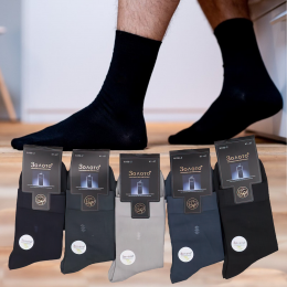 Чоловічі шкарпетки Золото N106-2, демісезонні (упаковка 10 шт; розмір 41-47)