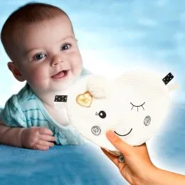 Игрушка-обнимашка с шуршанием "Сердце" (21*20 см) "BabyOno" 762 (SB)