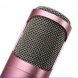 Беспроводной bluetooth караоке-микрофон 2в1 колонка KTV-K068 (212)