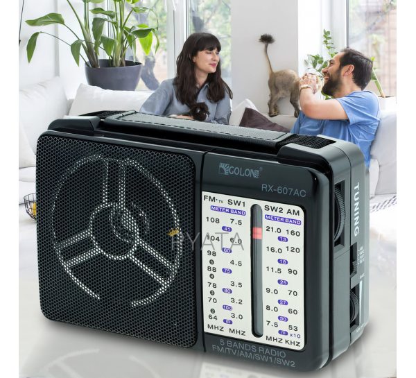 Автономний компактний радіоприймач радіо GOLON RX-607 AC (205)