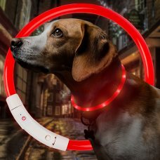 Светодиодный светящийся led ошейник с подсветкой для собак с USB зарядкой S-35см Красный (205)