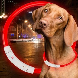 Светодиодный светящийся led ошейник с подсветкой для собак с USB зарядкой M-50см Красный (205)