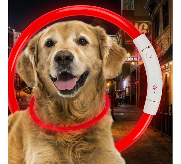 Світлодіодний світлий led нашийник з підсвічуванням для собак з USB зарядкою L-70см Червоний (205)