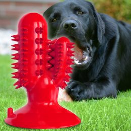 Жевательная игрушка для собак на присоске Bronzedog PetFun Dental "Кактус" Красная (205)