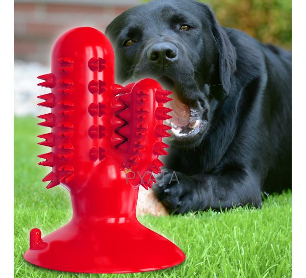 Жевательная игрушка для собак на присоске Bronzedog PetFun Dental "Кактус" Красная (205)