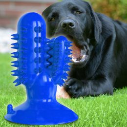 Жевательная игрушка для собак на присоске Bronzedog PetFun Dental "Кактус" Синий (205)