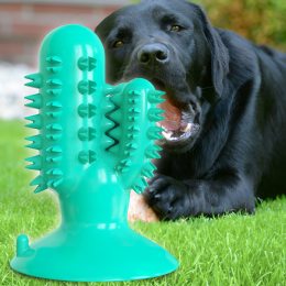 Жевательная игрушка для собак на присоске Bronzedog PetFun Dental "Кактус" Бирюзовая (205)