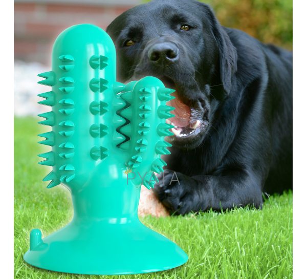 Жувальна іграшка для собак на присосці Bronzedog PetFun Dental "Кактус" Бірюзова (205)