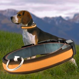 Светящийся Led ошейник для собак с usb зарядкой USB GLOW RING Оранжевый S (205)
