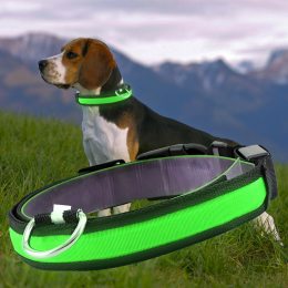 Светящийся Led ошейник для собак с usb зарядкой USB GLOW RING Салатовый S (205)