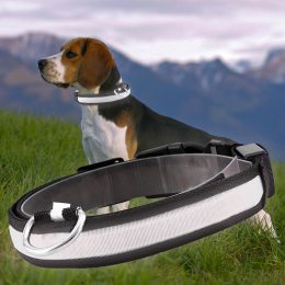 Led нашийник для собак, що світиться з USB зарядкою USB GLOW RING Білий S (205)