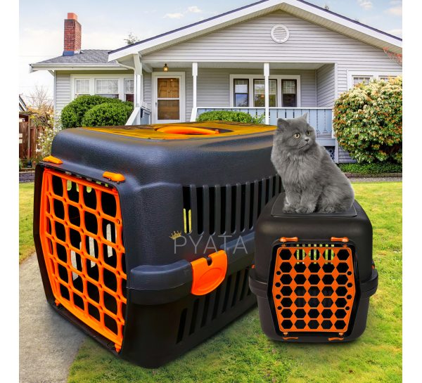 Переноска-контейнер для котів та собак 35*49*32,5 см Agility Plast Чорно-помаранчева 