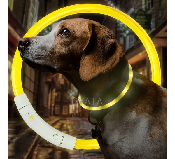 Світлодіодний світлий led нашийник з підсвічуванням для собак з USB зарядкою S-35см  Жовтий (205)