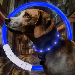 Светодиодный светящийся led ошейник с подсветкой для собак с USB зарядкой S-35см Синий (205)